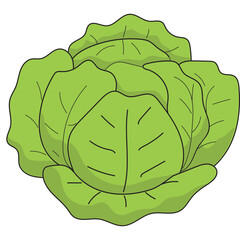 Vegetable Illustration