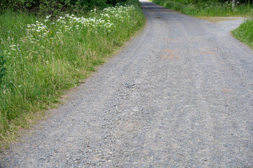 Fototapeta na wymiar Gravel path with green meadow