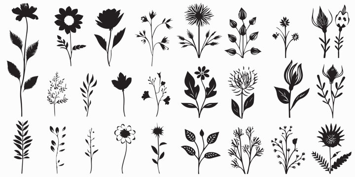 Black and white flowers silhouette vector illustration