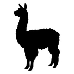 Alpaca silhouette icon symbol. Vector illustration