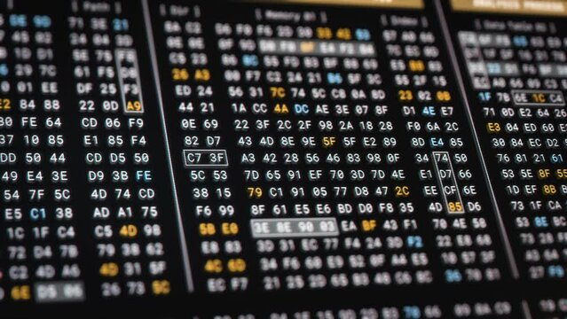Computer memory code encryption technology for high security. Big Data Analysis process in low level programming to reverse engineering software, digital binary hexadecimal number display 3D rendering