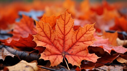 Naklejka na ściany i meble Fall Leaves, Autumn, Generative AI