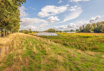 Picturesque overview of a nature reserve in summer season. The photo was taken in the Dutch province of North Brabant.