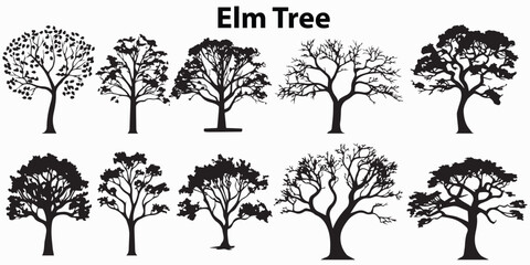 Set of silhouette Elm Tree Vector illustration - obrazy, fototapety, plakaty