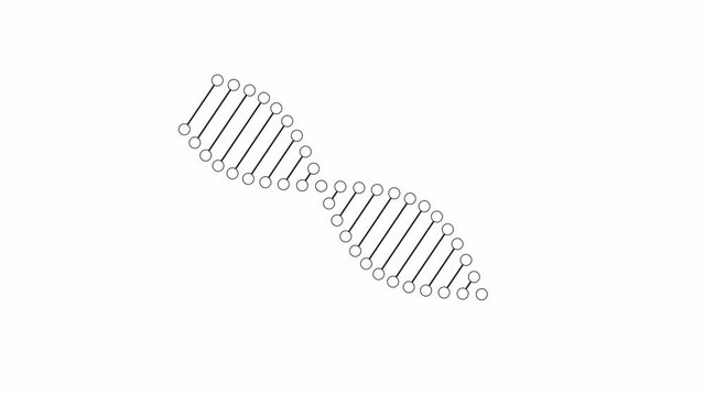 Dna strand rotating bw outline 2D object animation. Molecule dna monochrome linear cartoon 4K video. Gene sequencing. Biotechnology genomes. Rna structure animated element isolated on white background