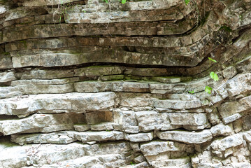 natural pattern stone rock with green fresh plants in the jungle in thailand