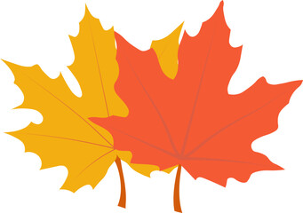 Beautiful maple leaves for autumn season design concept element object.