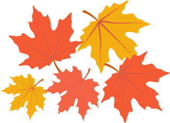 Beautiful maple leaves for autumn season design concept element object.