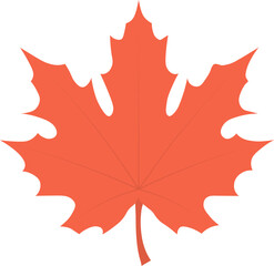 Obraz premium Beautiful maple leaves for autumn season design concept element object.