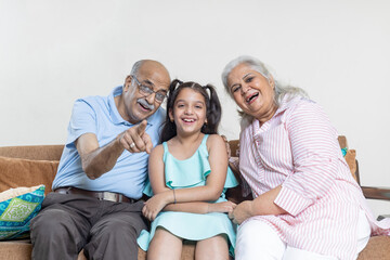 Portrait of Indian grandparents hug grandchild and looking towards the camera ,Grandparent and...