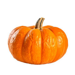 Pumpkin Isolated on Transparent Background