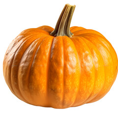 Pumpkin Isolated on Transparent or White Background, PNG