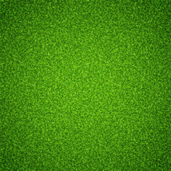 Plakat Lawn grass texture background. Vector