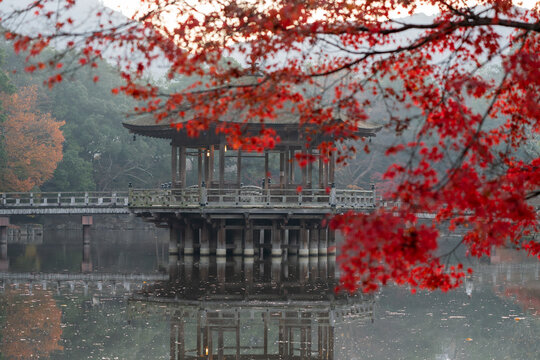 Ukimido and Autumn Leaves in Nara
