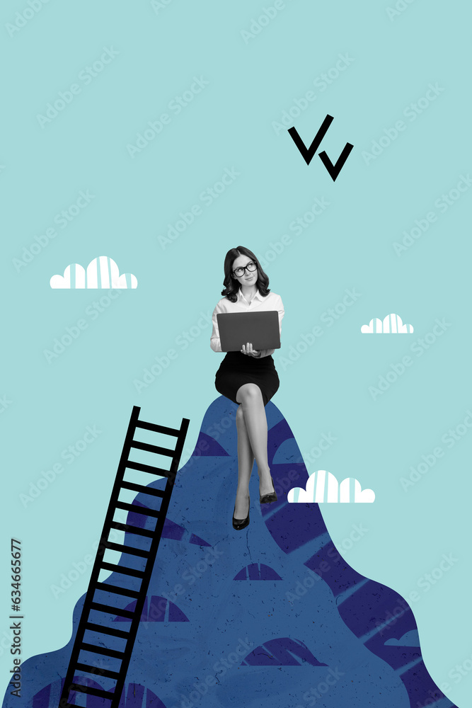 Poster vertical collage of black white colors elegant girl climb ladder mountain top use netbook brainstorm