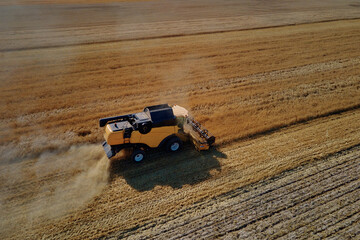 Harvesting machine working at agricultural field. Combine harvester collecting golden wheat field....