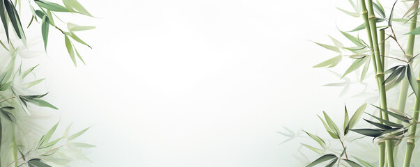 Fototapeta premium stems and leaves of ripe bamboo on a light green background. 