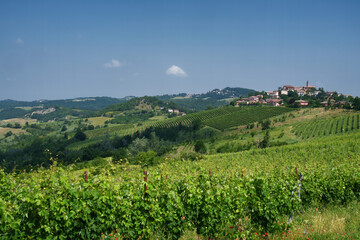 Fototapeta na wymiar Rural landscape on Tortona hills, Piedmont, Italy