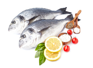 Dorado fish on the white background   with pepper, lemon, basil leaves, tomatoes  and salt. Top view. Uncoooked fish closeups.