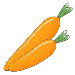Carrot, vegetable 