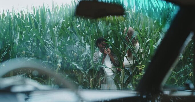 Queer couple standing in a cornfield playing with the leaves. 