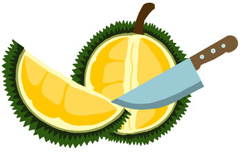 illustration of an durian
