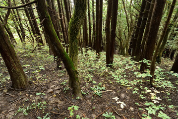 Climbing  Mount Adatara, Fukushima, Japan