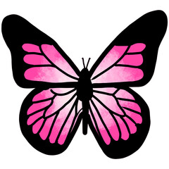 black and white butterfly