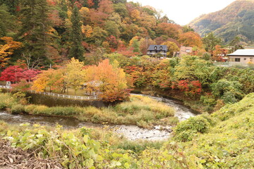 紅葉が美しい、青森県中野もみじ山。
