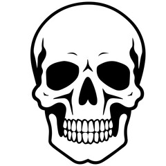 outline vector skull in black