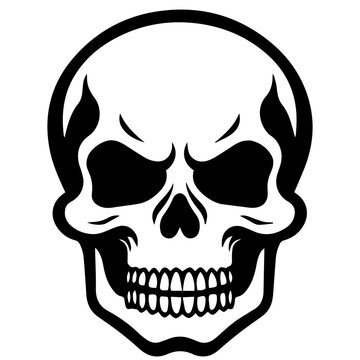 outline vector skull in black