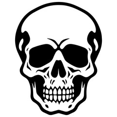 Obraz premium outline vector skull in black