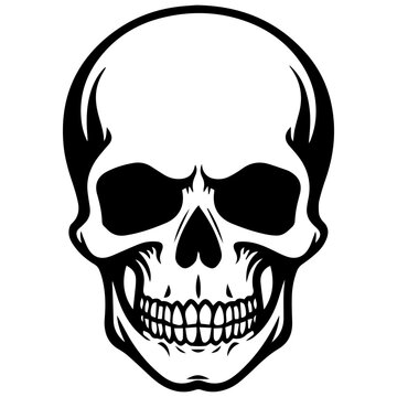 outline vector skull in black