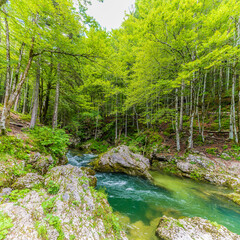 A view back up the Mostnica river in the Mostnica gorge in Slovenia in summertime
