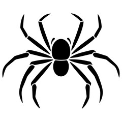 Black spider silhouette