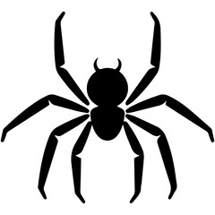 Black spider silhouette