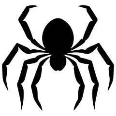 Black spider silhouette