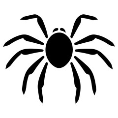 Obraz premium Black spider silhouette