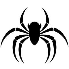 Black spider silhouette