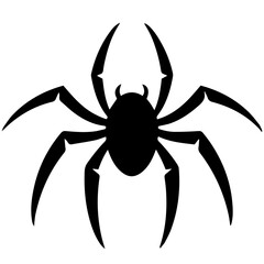 Black spider silhouette