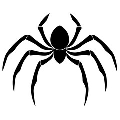 Black spider silhouette
