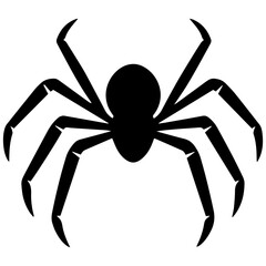 Black spider silhouette