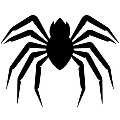 Black spider silhouette