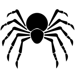 Black spider silhouette