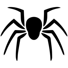 Black spider silhouette