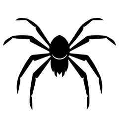 Black spider silhouette