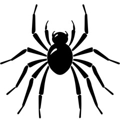 Black spider silhouette