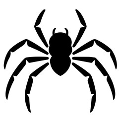 Black spider silhouette