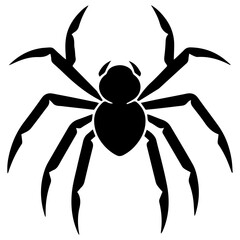Black spider silhouette