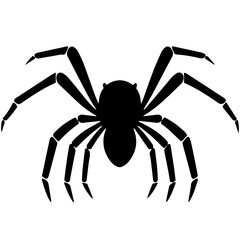 Black spider silhouette